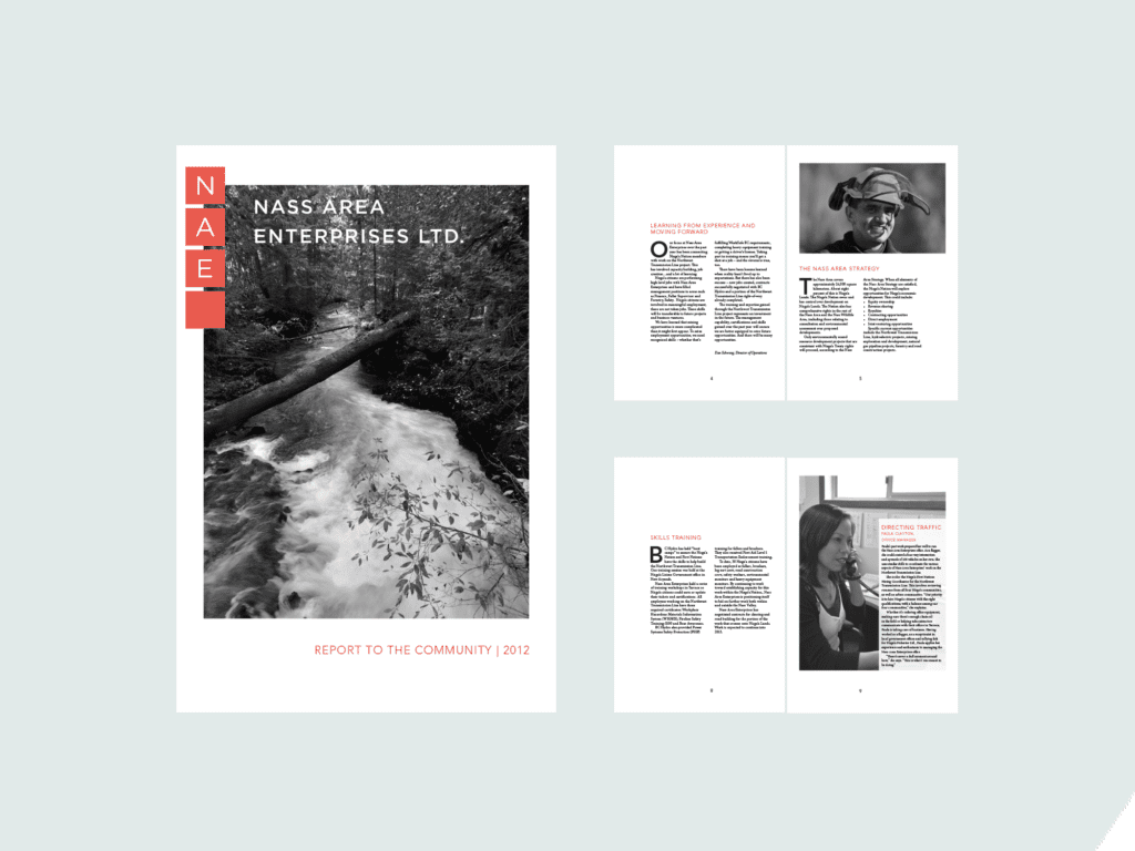 Booklet: NAE Community Report